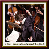 Thumbnail for the Pawel Przytocki - Dvorak: Serenade for String Orchestra in E Major, Op. 22 link, provided by host site