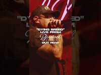 Thumbnail for the Lakeview - “Dying Breed” live from Barstool Nashville is out now baby link, provided by host site