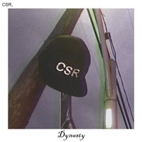 Thumbnail for the CSR - Dynasty link, provided by host site