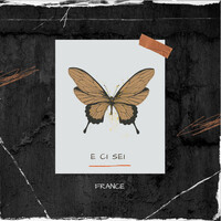 Thumbnail for the France - E CI SEI link, provided by host site