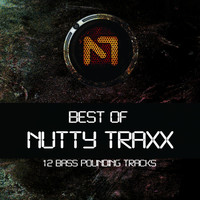 Thumbnail for the Nutty T - E.F.F.E.C.T - Original Mix link, provided by host site