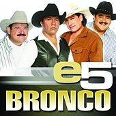 Thumbnail for the Bronco - E5 link, provided by host site