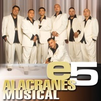 Thumbnail for the Alacranes Musical - e5: Alacranes Musical link, provided by host site