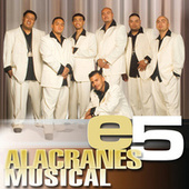 Thumbnail for the Alacranes Musical - e5 link, provided by host site