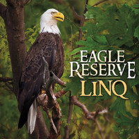 Thumbnail for the Linq - Eagle Reserve link, provided by host site