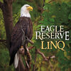 Thumbnail for the Linq - Eagle Reserve link, provided by host site
