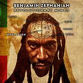 Thumbnail for the Benjamin Zephaniah - Earth Liberation Sound link, provided by host site