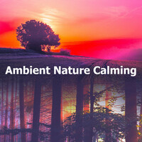 Thumbnail for the Rest & Relax Nature Sounds Artists - Earthscape Calm link, provided by host site