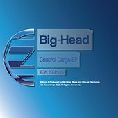Thumbnail for the Multiprogramm - EBK (Big-Head Remix) link, provided by host site