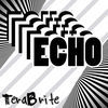 Thumbnail for the Terabrite - Echo link, provided by host site