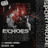 Thumbnail for the SPORTMODE - Echoes link, provided by host site