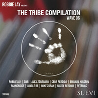 Thumbnail for the Robbie Jay - Echoes From The Future - Peter GC Remix link, provided by host site