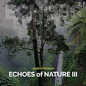 Thumbnail for the James Freeman - Echoes of Nature III link, provided by host site