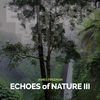 Thumbnail for the James Freeman - Echoes of Nature III link, provided by host site