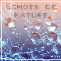 Thumbnail for the The Calming Sounds Of Nature - Echoes of Nature – Music for Peace of Mind, Relax Yourself, Ambient Serenity, Chakra Balance link, provided by host site