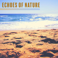 Image of Ocean Sounds linking to their artist page due to link from them being at the top of the main table on this page