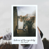 Thumbnail for the John Taylor - Echoes of Tranquility link, provided by host site