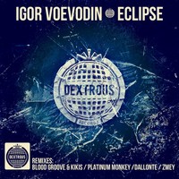 Thumbnail for the Platinum Monkeys - Eclipse - Platinum Monkeys Remix link, provided by host site