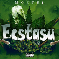 Thumbnail for the Mötel - Ecstasy link, provided by host site