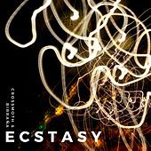 Thumbnail for the Crossmoth - Ecstasy link, provided by host site
