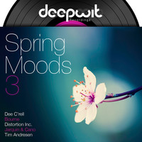Thumbnail for the Dee C'rell - Edifs Tale Original Mix link, provided by host site