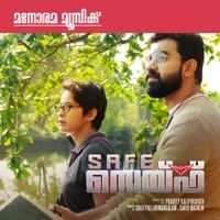 Thumbnail for the Vineeth Sreenivasan - Ee Veyil (From "Safe") link, provided by host site
