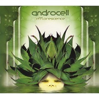 Thumbnail for the Androcell - Efflorescence [CD Rec 003](Chill-out / Psy-dub / Downtempo) link, provided by host site
