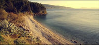 Thumbnail for the [dunkelbunt] - Egal [Video Edit] link, provided by host site