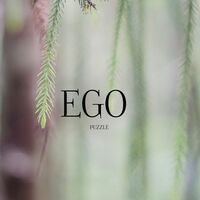Thumbnail for the Puzzle - EGO link, provided by host site
