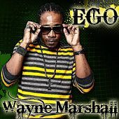 Thumbnail for the Wayne Marshall - Ego link, provided by host site