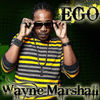 Thumbnail for the Wayne Marshall - Ego link, provided by host site