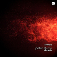 Thumbnail for the Peter Sturm - Ehrgeiz link, provided by host site