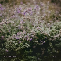 Thumbnail for the Polynation - Eifel link, provided by host site
