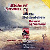 Thumbnail for the Valentin Zhuk - Ein Heldenleben, Op. 40: I. Der Held link, provided by host site