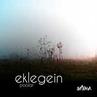 Image of Poolar linking to their artist page due to link from them being at the top of the main table on this page