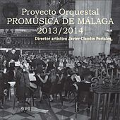 Thumbnail for the Orquesta de Cámara Promúsica de Málaga - El Baile de Luis Alonso link, provided by host site