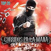 Thumbnail for the Los 2 Primos - El Buen Samaritano link, provided by host site