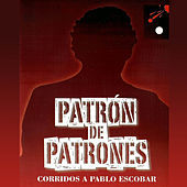 Thumbnail for the Furia Nortena - El Cartel De Cali link, provided by host site