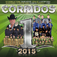Thumbnail for the Enigma Norteño - El Cártel De Tijuana (El Aquiles) link, provided by host site