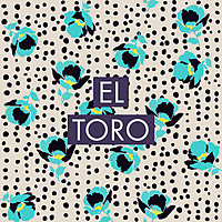 Image of El Toro linking to their artist page due to link from them being at the top of the main table on this page