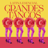 Thumbnail for the Tango Argentino - El choclo link, provided by host site