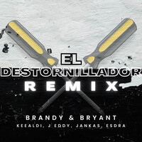 Thumbnail for the Brandy - El Destornillador (Remix) link, provided by host site