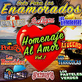 Thumbnail for the Los Terricolas - El Diario De Un Amante link, provided by host site