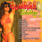 Thumbnail for the Rudy Pérez - El Dolor De Tu Presencia link, provided by host site
