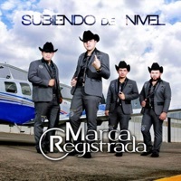Thumbnail for the Grupo Marca Registrada - El Flaco De Tijuana link, provided by host site