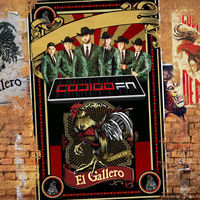 Thumbnail for the Código FN - El Gallero link, provided by host site
