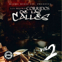 Thumbnail for the Los Elementos de Culiacan - El Matrero link, provided by host site