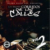 Thumbnail for the Los Elementos de Culiacan - El Matrero link, provided by host site