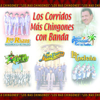 Thumbnail for the Banda Maguey - El Novato link, provided by host site