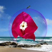 Thumbnail for the Mohammad Assaf - El Oyoun Soud link, provided by host site